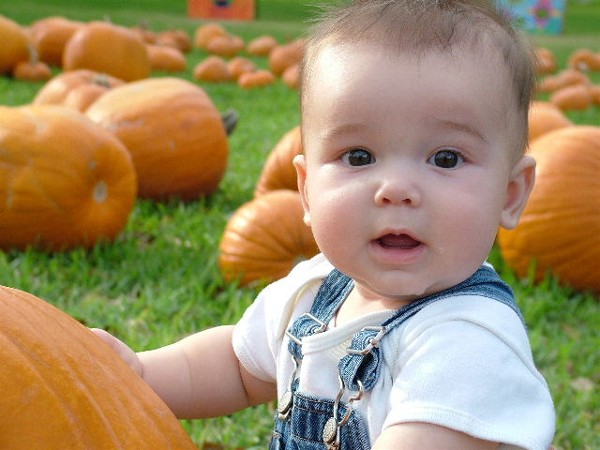 Jacob's first pumpkin